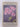 The Rhodedendron and Camerlia Year Book 1966 by unknown