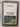 The Peat Garden and Its Plants by Alfred Evans
