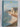 Illustrated guide to Britain's coast by Readers Digest,Automobile Association