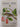 Some garden birds of South East Australia by E Kloot, E. Mcculloch