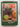 A tase of the tropics by P. Stacy,S. Parkinson