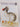 Oxford Today: The University Magazine (Volume 11 No. 2) by Oxford University