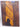 Oxford Today: The University Magazine (Volume 9 No. 2) by Oxford University