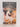 Phaedrus and the Seventh and Eighth Letters: And, the Seventh and Eighth Letters (Penguin Classics) (English and Ancient Greek Edition) by Plato,Walter Hamilton