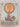 Mrs Tortinos return to the sun by Shirley Murphy, Pat Murphy