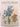 Wild flowers in new zealand by N.M. Adams