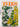 Print Books - Ivies by Peter Q. Rose - Book Express