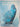 Print Books - New Zealand Birds: An Artist's Field Studies by Raymond Ching - Book Express