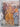 The Complete Work of Raphael by Luisa Becherucci,Alessandro Marabottini,Anna Forlani Tempesti,Giuseppe Marchini,Giovanni Becatti,Ferdinando Castagnoli,Vincenzo Golzio,Mario Salmi,Raphael