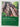 Ng' kaupapa here : Connections and Contradictions in Education by Vicki Carpenter, Maxine Stevenson