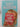 Print Books - I Kissed Shara Wheeler by Casey McQuiston - Book Express