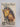Print Books - The King must die by Mary Renault - Book Express