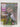 Print Books - 2000AD, Featuring Judge Dredd, prog 851 by Fleetway Editions Ltd - Book Express