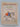 Print Books - The Diverting History of John Gilpin by Cowper,Wm.,Illustrated By C Gifford Ambler - Book Express