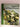 Salads & Cold Hors-d'oeuvre by Time-Life Books