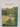 Sarah and Joe: a story of Old Parnell by Pattie Greenhough