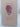 Print Books - Casanova's Ankle by Elizabeth Smither - Book Express