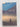Print Books - Oystercatcher by Greg Billington - Book Express