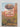 Print Books - Land of the dragons by Rod Morris - Book Express