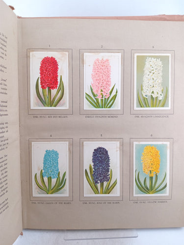 Print Books - De Bloemenvelden by J W. De Groot - Book Express