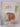 Print Books - The story of shy the platypus by Leslie Rees - Book Express