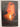 Dark Flame (The Immortals) by Alyson Noel