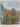 The Trees Around Us by Peter N. Barber, Cecil Ernest Lucas Phillips
