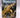 Dragondrums by Anne McCaffrey