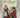 Henry Esmond by William Makepeace Thackeray