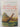 Trial Of The Cannibal Dog: Captain Cook In The South Seas by Anne Salmond