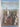 The Falkland Islands and Their Natural History by Ian J. Strange