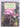 Fuschia Growing in New Zealand, Australia & the South Pacific by Ted Sweetman