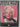 Marilyn: a Hollywood life by Ann Lloyd