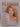 Playboy Magazine, Jun 1981 by Hugh Hefner (editor)