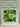 The Cultivation of New Zealand Trees and Shrubs by Lawrence James Metcalf