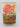 Print Books - The Seeds of Singing by Kay McGrath - Book Express