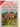 Print Books - Living off the Smell of an Oily Rag in New Zealand by Frank Newman,Muriel Newman - Book Express
