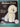 Bichon Frises: Everything About Purchase, Care, Nutrition, Breeding, Behavior, and Training by Richard G. Beauchamp