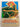 An Introduction to New Zealand Painting 1839-1980 by Gordon H. Brown,Hamish Keith