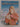 Print Books - Hillary of Everest: the years after by Terry Bell - Book Express
