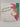 Print Books - Witchy McBritchy by Mavis Grey - Book Express