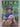Tina: The inspiring tale of a world-changing friendship between one man and a dog, new memoir of 2025 by Niall Harbison