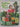 The care of house plants: Illustrated step by step by David Longman