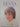 The Country Life Book of Diana, Princess of Wales by Lornie Leete-Hodge