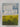 Severe Weather (School Story Library) by Sarah Wilcox