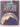 Collins Concise Atlas of the World by Andrew M. Currie
