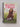 Rabbit and Bear: The Pest in the Nest: Book 2 by Julian Gough