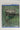 New Zealand ferns and allied plants by Patrick J. Brownsey
