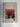 Rare or Threatened Australian Plants by John Leigh, John Briggs