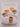 The Tropical Fruit Everyday Cookbook by Nadia Lim